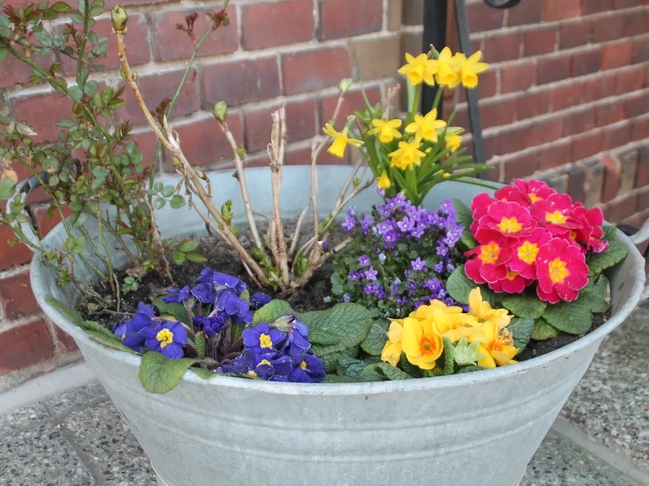 Blumen vor der Backsteinwand des Lindenkrug